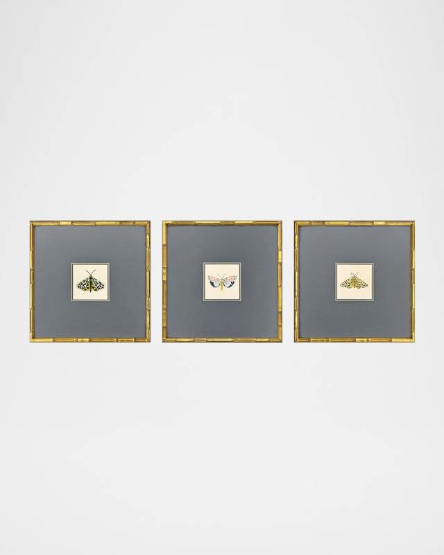 "Pastel Moths I" Framed Giclees by Farida Zaman, Set of 3